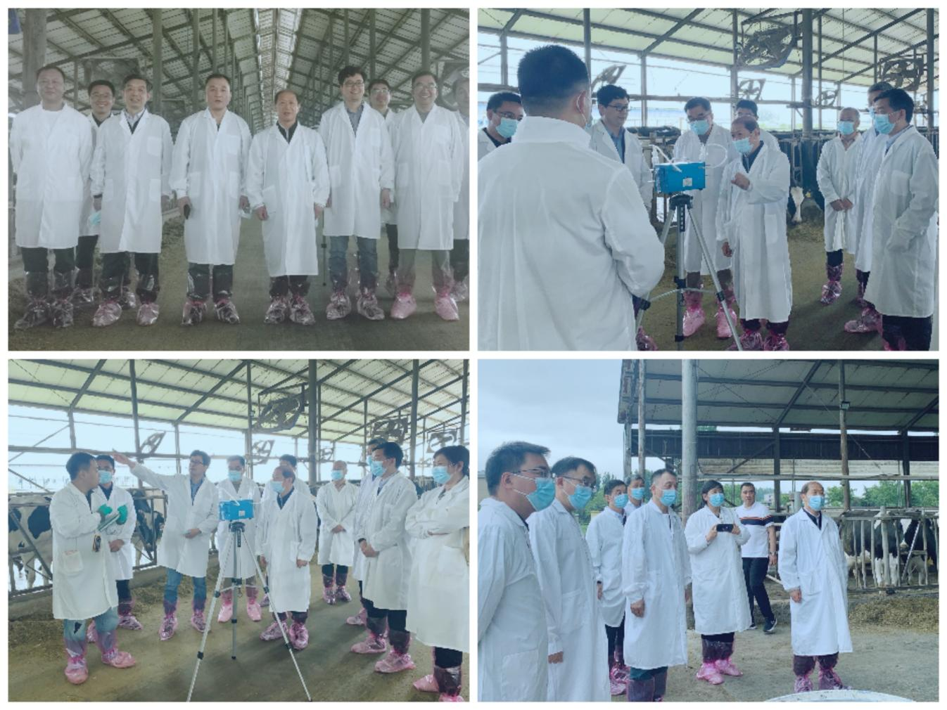 花花牛丨河南農(nóng)業(yè)大學(xué)黨委副書記、校長介曉磊一行蒞臨花花牛河南瑞亞參觀調(diào)研