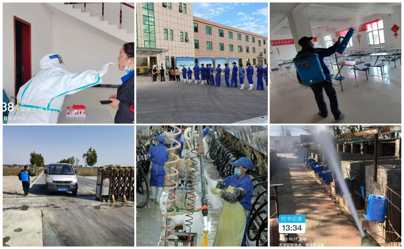 抗疫情、保供應(yīng)、顯擔當——花花牛在行動?。?！