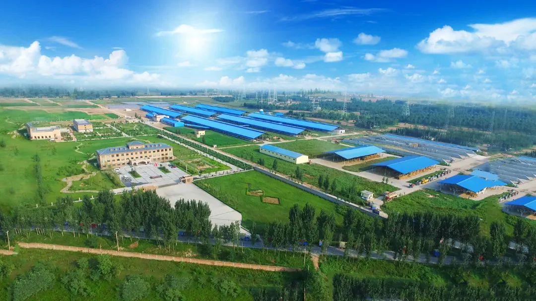 花花牛 | 河南瑞亞牧業(yè)入選“河南省畜禽核心育種場(chǎng)” 花花牛 | 河南瑞亞牧業(yè)入選“河南省畜禽核心育種場(chǎng)”