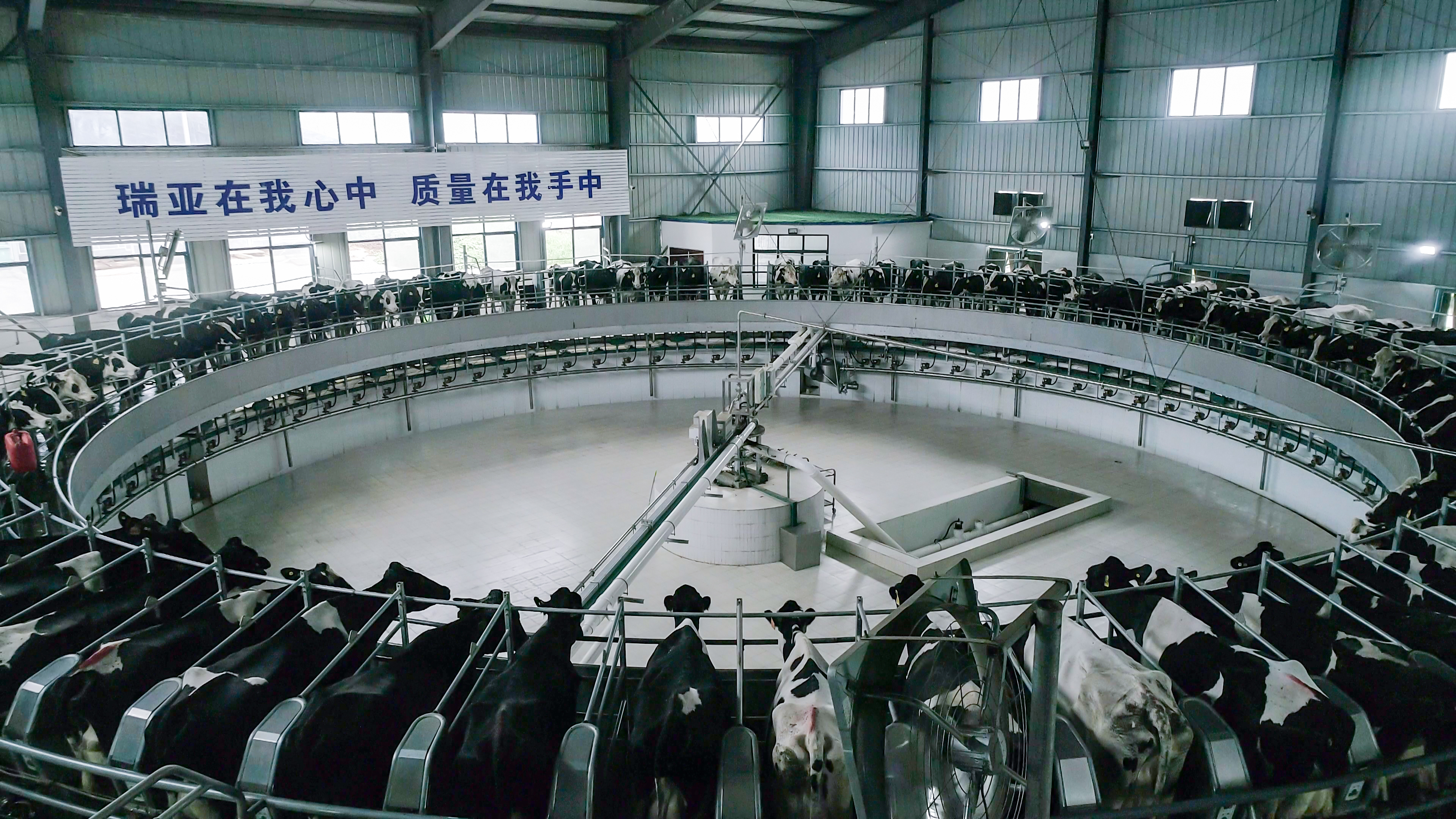 花花牛兩座自有牧場入選 河南省農(nóng)業(yè)農(nóng)村廳2021年度畜禽養(yǎng)殖標準化示范場 花花牛兩座自有牧場入選 河南省農(nóng)業(yè)農(nóng)村廳2021年度畜禽養(yǎng)殖標準化示范場