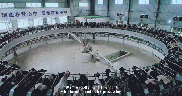 榮譽 | 2019年度河南省美麗牧場名單新鮮出爐 花花牛乳業(yè)集團旗下六個牧場榜上有名