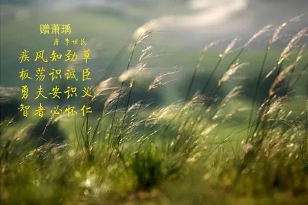 花花牛 | 疾風(fēng)來(lái)臨，你是不是勁草？