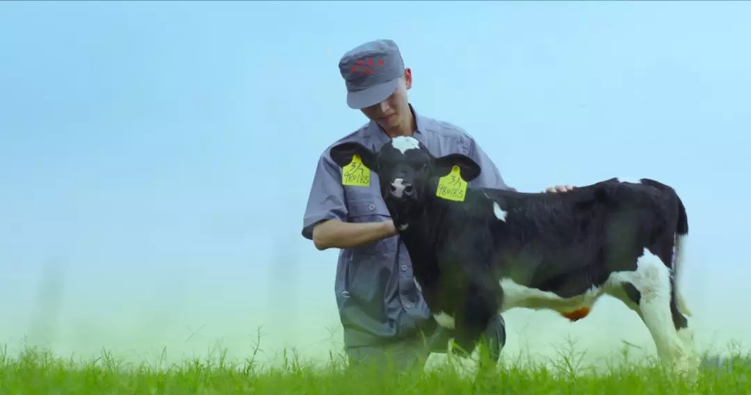 喜報(bào) | 國(guó)家市場(chǎng)監(jiān)管總局抽檢，花花牛等112家企業(yè)乳品抽檢全部合格