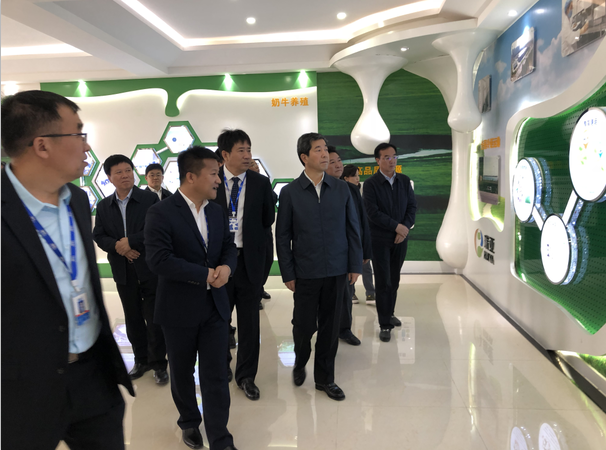 河南省委副書記、省長陳潤兒一行蒞臨 花花牛集團(tuán)魯山瑞亞牧業(yè)有限公司視察調(diào)研