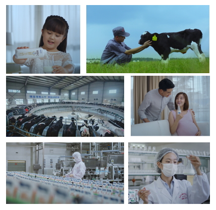 花花牛亮相中國奶業(yè)20強(qiáng)呼倫貝爾峰會，共話中國奶業(yè)振興！