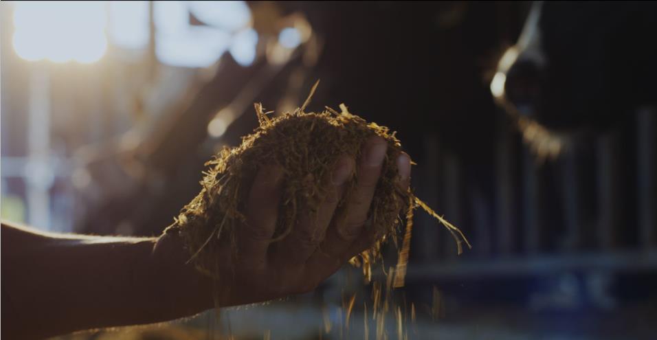 又雙叒叕獲獎啦！花花牛榮獲“乳品質(zhì)量安全管理 優(yōu)秀企業(yè)”