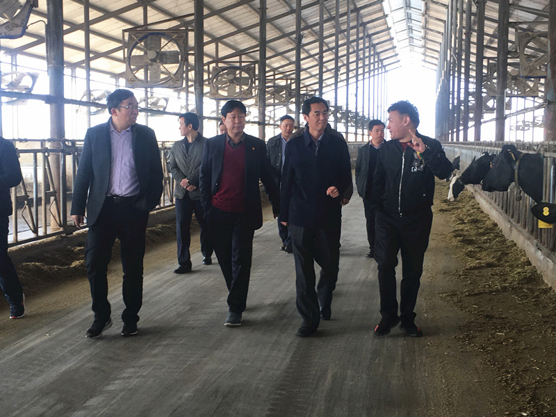 封丘縣縣長王獻(xiàn)臣一行蒞臨 花花牛集團(tuán)養(yǎng)殖、乳品事業(yè)部參觀調(diào)研