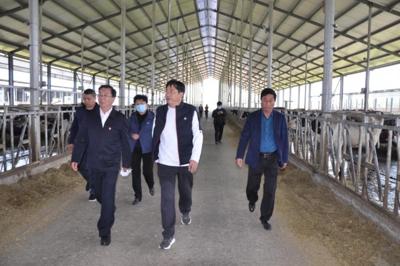 商丘市委常委、宣傳部部長(zhǎng)王全周一行蒞臨睢縣瑞亞牧業(yè)有限公司調(diào)研