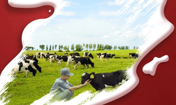 喜報(bào)！花花牛董事長關(guān)曉彥再獲”優(yōu) 秀企業(yè)家”稱號